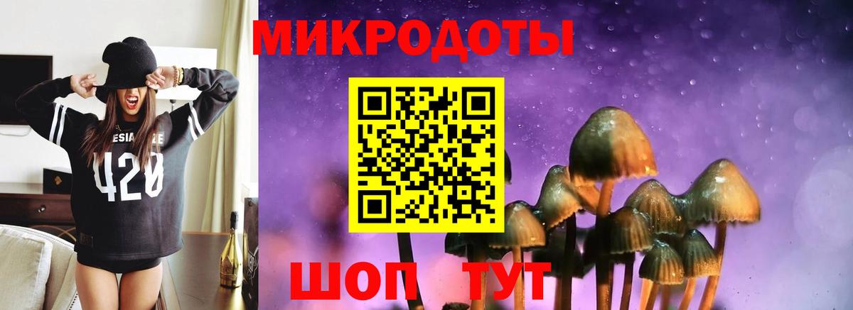 Псилоцибиновые грибы GOLDEN TEACHER Ефремов